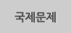 국제문제