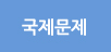 국제문제